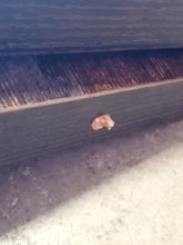 Load image into Gallery viewer, Cosetta Rectangular Conference Table