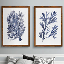 Load image into Gallery viewer, Seaweed Under Water I by Vincent Van Gogh - 2 Piece Single Picture Frame Painting