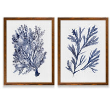 Load image into Gallery viewer, Seaweed Under Water I by Vincent Van Gogh - 2 Piece Single Picture Frame Painting