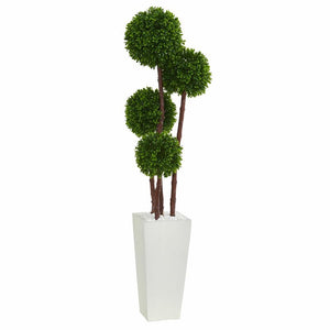 1 32.75" Boxwood Topiary in Planter 1913CDR