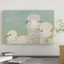 Load image into Gallery viewer, &#39;Bashful Sheep II&#39; Print on Canvas 12&quot; H x 18&quot; W x 0.75&quot; D #861HW
