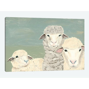 'Bashful Sheep II' Print on Canvas 12" H x 18" W x 0.75" D #861HW