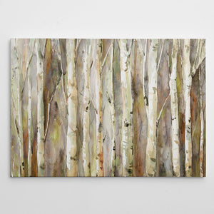 'Birch Path' Wrapped Canvas Print (SB8926)