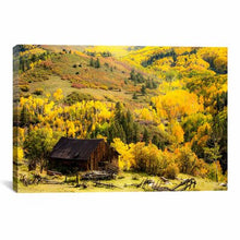 Load image into Gallery viewer, &#39;Fall Pallet&#39; by Dan Ballard Photographic Print on Canvas
