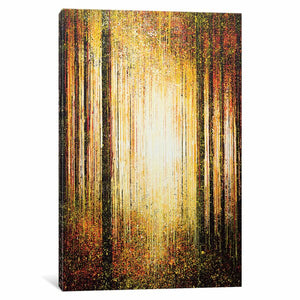 'Golden Light through Trees' Graphic Art Print on Canvas 26 x 40 3312RR
