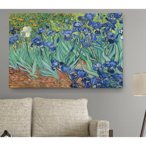 'Irises' by Vincent Van Gogh - Wrapped Canvas Painting Print 7628