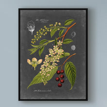 Load image into Gallery viewer, &#39;Midnight Botanical II&#39; Graphic Art Print on Wrapped Canvas #ND1077
