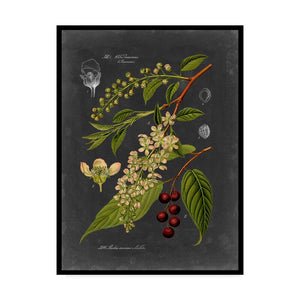 'Midnight Botanical II' Graphic Art Print on Wrapped Canvas #ND1077