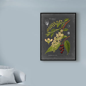 'Midnight Botanical II' Graphic Art Print on Wrapped Canvas #ND1077