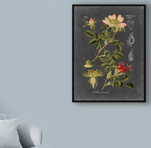 Load image into Gallery viewer, &#39;Midnight Botanical I&#39; Graphic Art Print on Wrapped Canvas #ND1064
