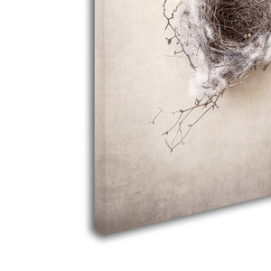'Nest III' Photographic Print on Wrapped Canvas 24'' H x 18'' W #901ND