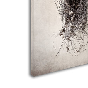 'Nest II' Photographic Print on Wrapped Canvas 24'' H x 18'' W #902ND