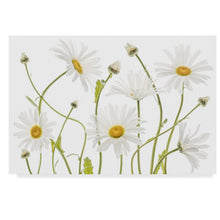 Load image into Gallery viewer, &#39;Ox Eye Daisies&#39; Photographic Print on Wrapped Canvas - *AS IS* -284CE
