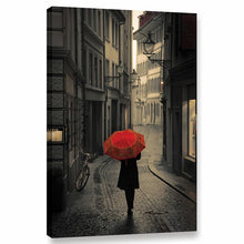 Load image into Gallery viewer, &#39;Red Rain&#39; - Wrapped Canvas Photograph Print (8&quot; x 12&quot;) #9674

