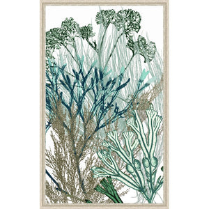 'Seaweed Panel II' Framed Graphic Art Print 895AH