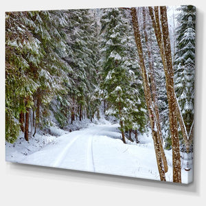 'Snowy Road in the Forest' Photographic Print on Wrapped Canvas #ND1007