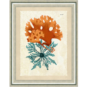 'Teal and Orange Seaweed III' Framed Graphic Art Print MRM1730