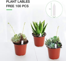 Load image into Gallery viewer, 100-Pack 6 Inch Plastic Plant Nursery Pots Come with 100 Pcs Plant Labels, Seedling Flower Plant Container and Seed Starting Pots
