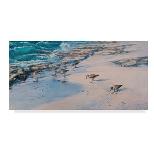'Sanderlings on Beach' Acrylic Painting Print on Wrapped Canvas, #6778