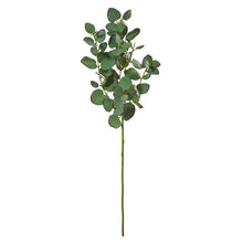 Load image into Gallery viewer, 6 Artificial Eucalyptus Branch Set (Set of 6) 7636
