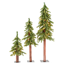 Load image into Gallery viewer, 2' 3' 4' Natural Triple Alpine Set #2188HW
