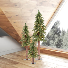 Load image into Gallery viewer, 2' 3' 4' Natural Triple Alpine Set #2188HW
