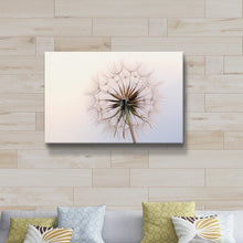 Load image into Gallery viewer, &#39;Dandelion III&#39; - Print on Canvas MRM2515
