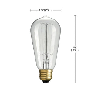 01321 60 Watt (60 Watt Equivalent), ST19 Incandescent, Dimmable Light Bulb, Warm White (2200K) E26/Medium (Standard) Base (Set of 3) GL1003
