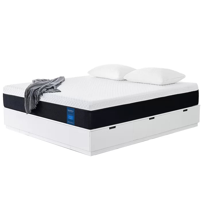 14'' Queen Plush Gel Memory Foam Sofa Bed Mattress Salvage & Co Fishers