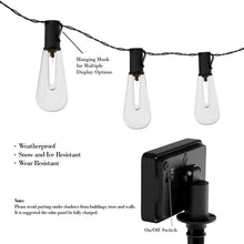 Load image into Gallery viewer, Alessia 14.5' Outdoor LED Solar Powered 10 - Bulb Standard String Light 281DC