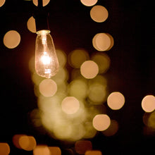 Load image into Gallery viewer, Alessia 14.5' Outdoor LED Solar Powered 10 - Bulb Standard String Light 281DC