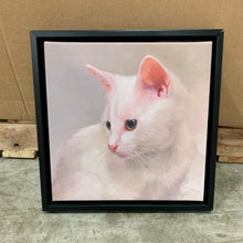 Load image into Gallery viewer, &#39;White Kitten&#39; Framed Painting Print on Canvas AS IS
