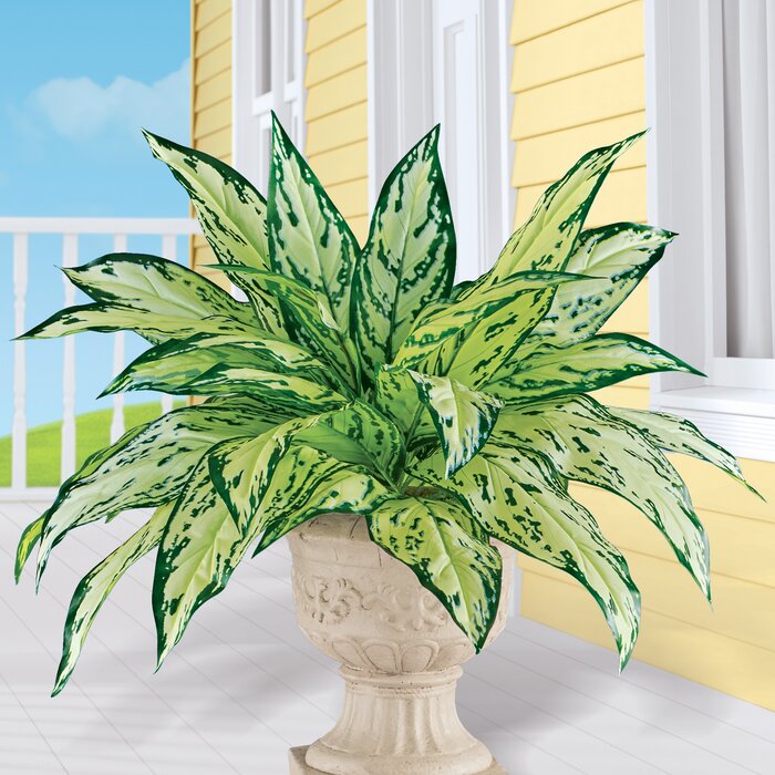 16'' Faux Dieffenbachia Plant (Set of 3)