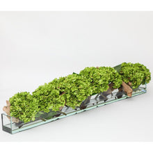 Load image into Gallery viewer, 24&quot; Casa Moderna Glass Plate Planter With White Hydrangeas And Driftwood
