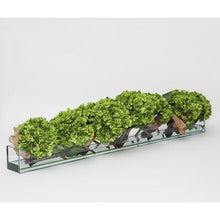 Load image into Gallery viewer, 24&quot; Casa Moderna Glass Plate Planter With White Hydrangeas And Driftwood
