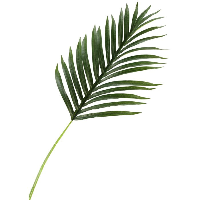 Palm Leaf Stem (Set of 6)