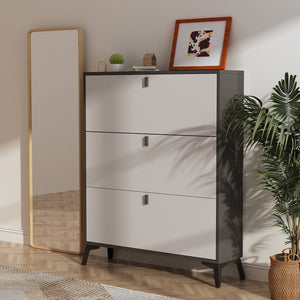 24 Pair Shoe Storage Cabinet