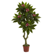 Load image into Gallery viewer, 5-foot Plumeria Tree
