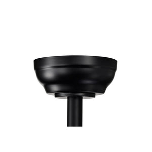 Ceiling Fan with LED Lights