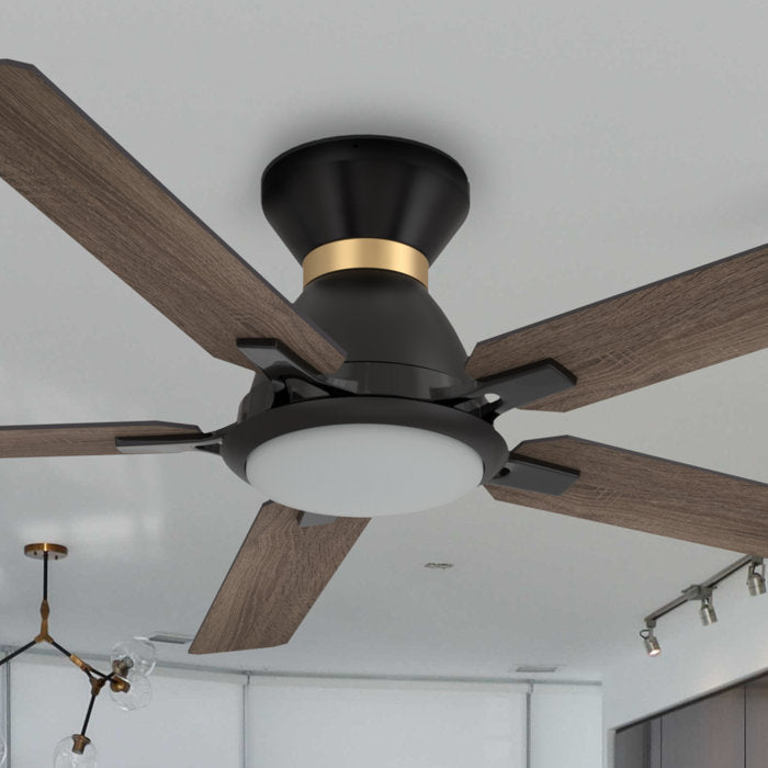 Ceiling Fan with LED Lights