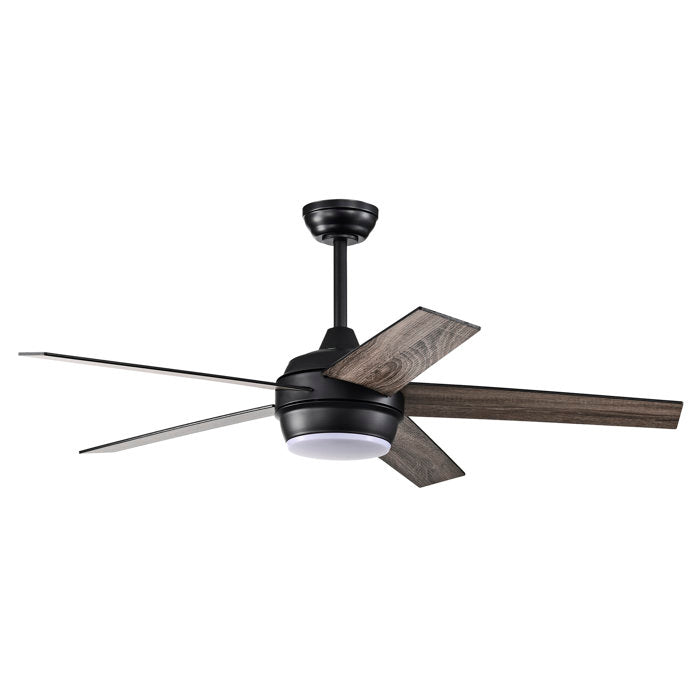 Ceiling Fan with LED Lights