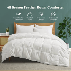 King 600 Fill Power Goose Down and Feather All Season Comforter