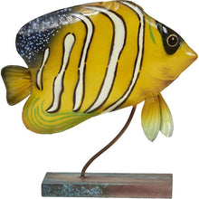 Load image into Gallery viewer, Anjo Royal Angelfish
