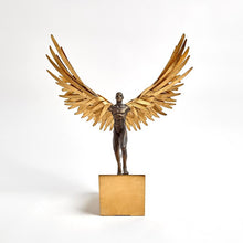 Load image into Gallery viewer, Avian Man-Running
