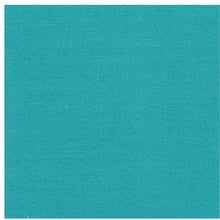 Load image into Gallery viewer, Twin Carol Rosecliff Heights Outdoor Seat Cushion
