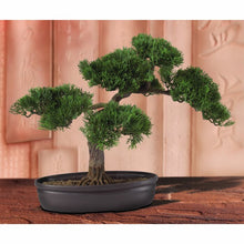 Load image into Gallery viewer, Faux Cedar Plant in Planter
