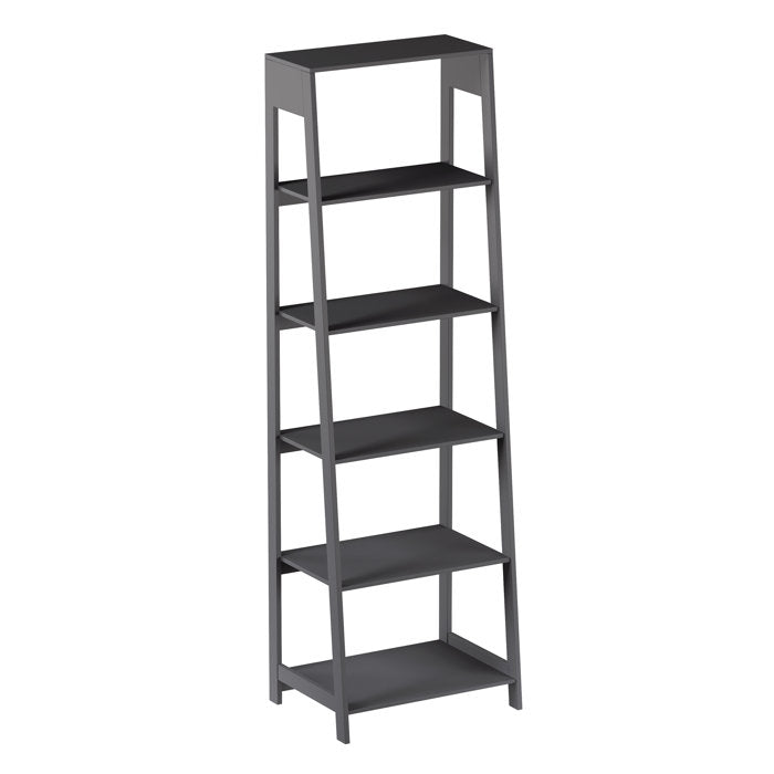 Flythe Ladder Bookcase