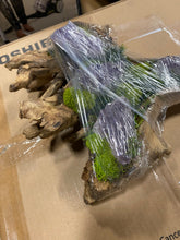 Load image into Gallery viewer, Moss Plant in Wood Planter
