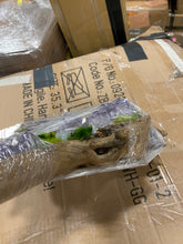 Load image into Gallery viewer, Moss Plant in Wood Planter
