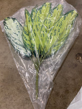 Load image into Gallery viewer, 16&#39;&#39; Faux Dieffenbachia Plant (Set of 3)
